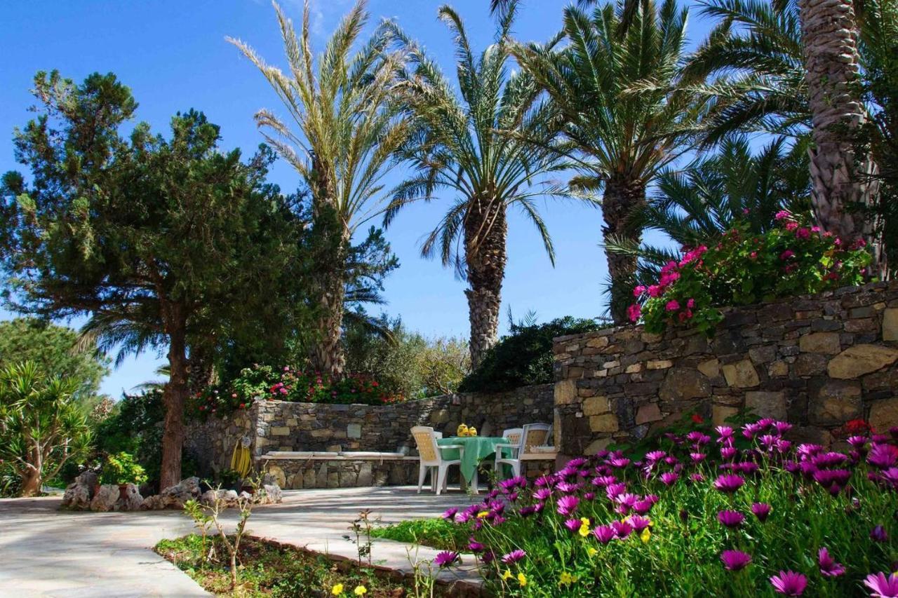 Authentic Cretan Stone Windmill Villa Sitia  Eksteriør billede