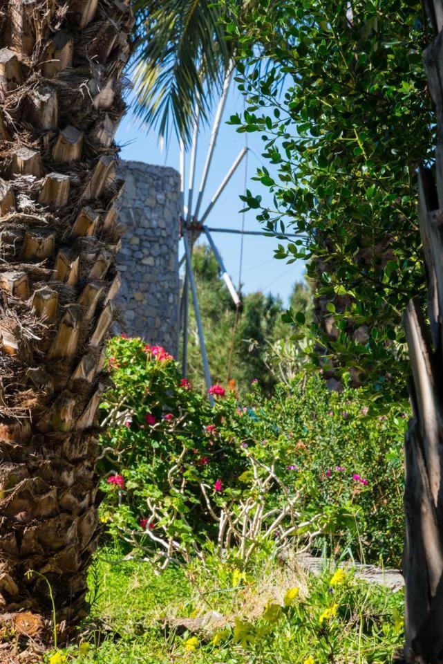 Authentic Cretan Stone Windmill Villa Sitia  Eksteriør billede