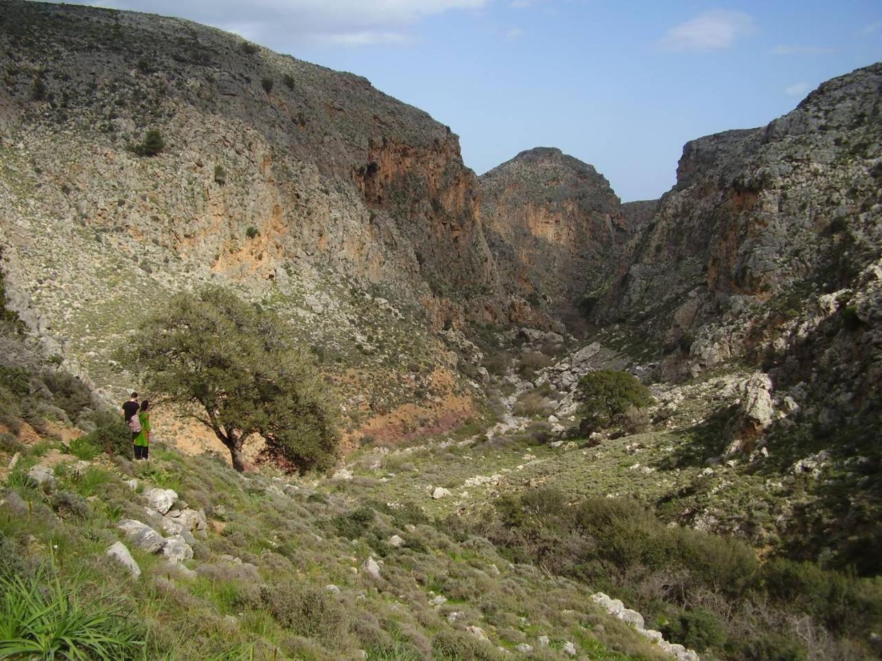 Authentic Cretan Stone Windmill Villa Sitia  Eksteriør billede